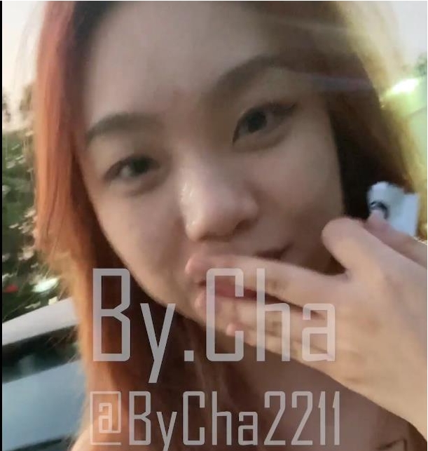 知名金主母犬《查小理》吸引路人户外运动