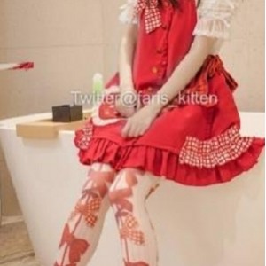 twitter猫:人偶《Faris_Ken》作品合集