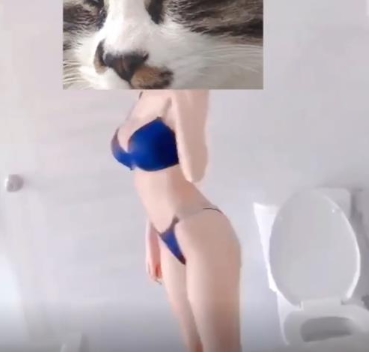 两大久妖大神-顶级网红女主播长腿黑丝超美女神