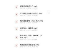 虎牙人气网红美女声优主播【百度云-2.07G】B站人气主播《仙姬_AS梦R》绝版音频合集