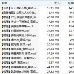 b站（不要吃咖喱）AS梦R舰长包