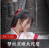 高颜值写真梦丝灵唯有尺度汉服定制流出完美露脸