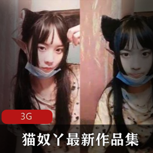 猫奴的完美作业合集：精品全系列，让你爱上猫咪！