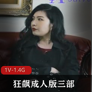成人版狂飙三部影片，3V高清，2.8G大容量