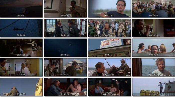 经典灾难惊悚电影《大白鲨》系列合集推荐