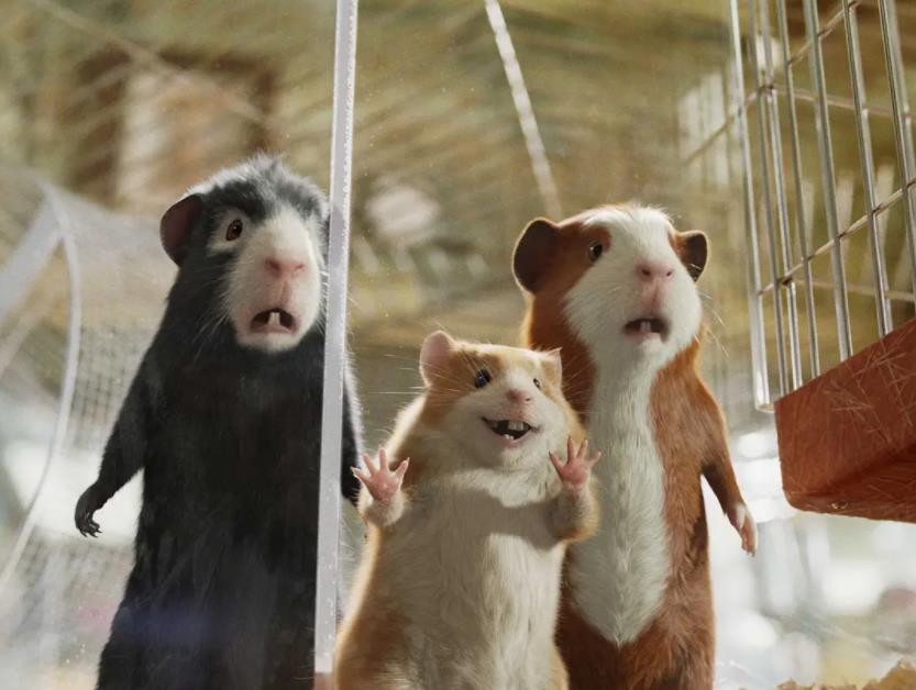 豚鼠特工队：喜剧动画电影，高清中字版