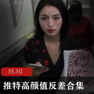 推特高颜值反差合集第二波:绅士资源美女35.3G大合集