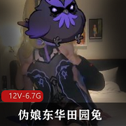 东华田园兔CD系列资源合集-中国风微博女神精选