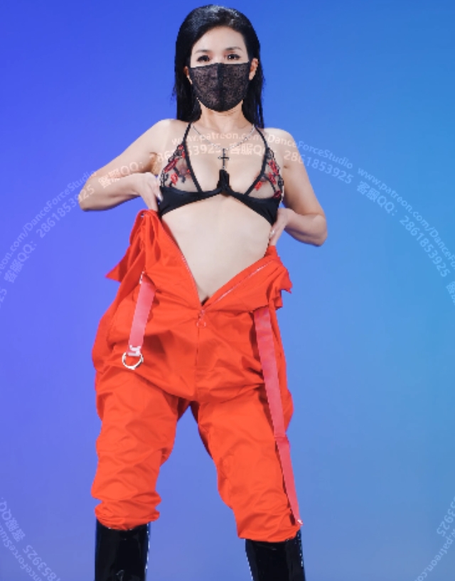 视频合集在网络上引起了轰动，吸引了大量粉丝。视频数量为5个，总大小为2.5G，可以在百度盘上找到。