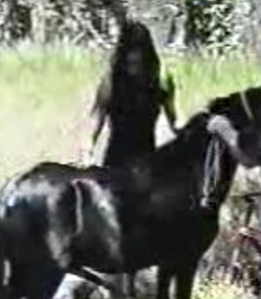 27G马合集视频分享，包含127个视频，360P到720P不等