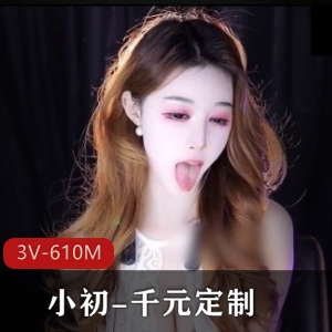 小初-千元定制3V-610M：网易豪哥社保姬W车灯道具秀小馒头S