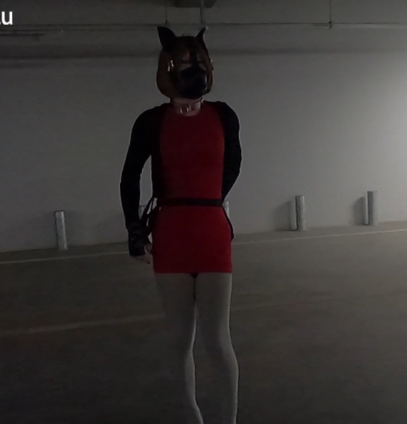 满月之夜小合集，17.9G视频精选，12v高清，百度盘下载