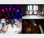 奴印文化：51个视频1.2G，S-M文化大神出山