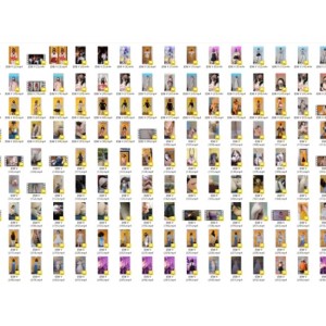 奶咪Naimi蜜桃臀私藏合集561部推特女神101G超绝资源