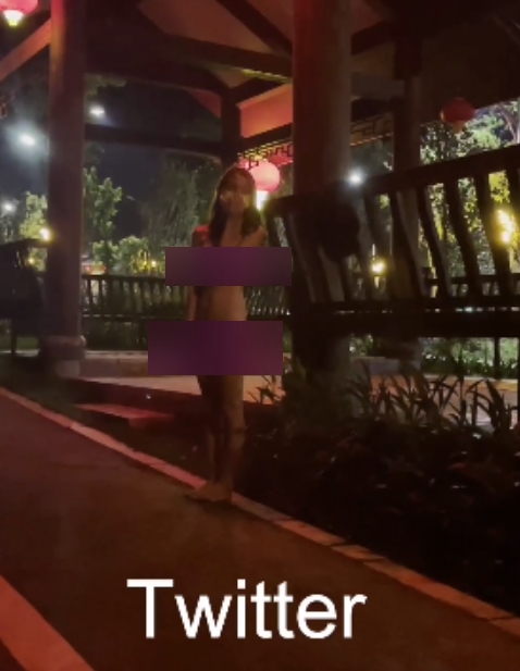 爱吃菠萝街头实战72V合集8G推特户外挑战