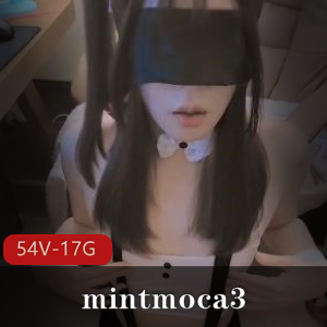 mintmoca3优质TS珍藏54部17G电臀冲击合集
