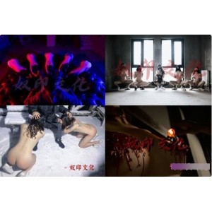 奴印文化51V某推隐匿版1.2GSM神作丰满出击