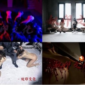 奴印文化51V某推隐匿版1.2GSM神作丰满出击